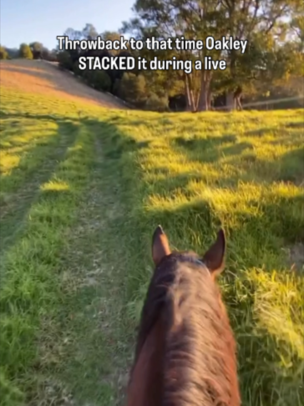 @Myhorsewillow