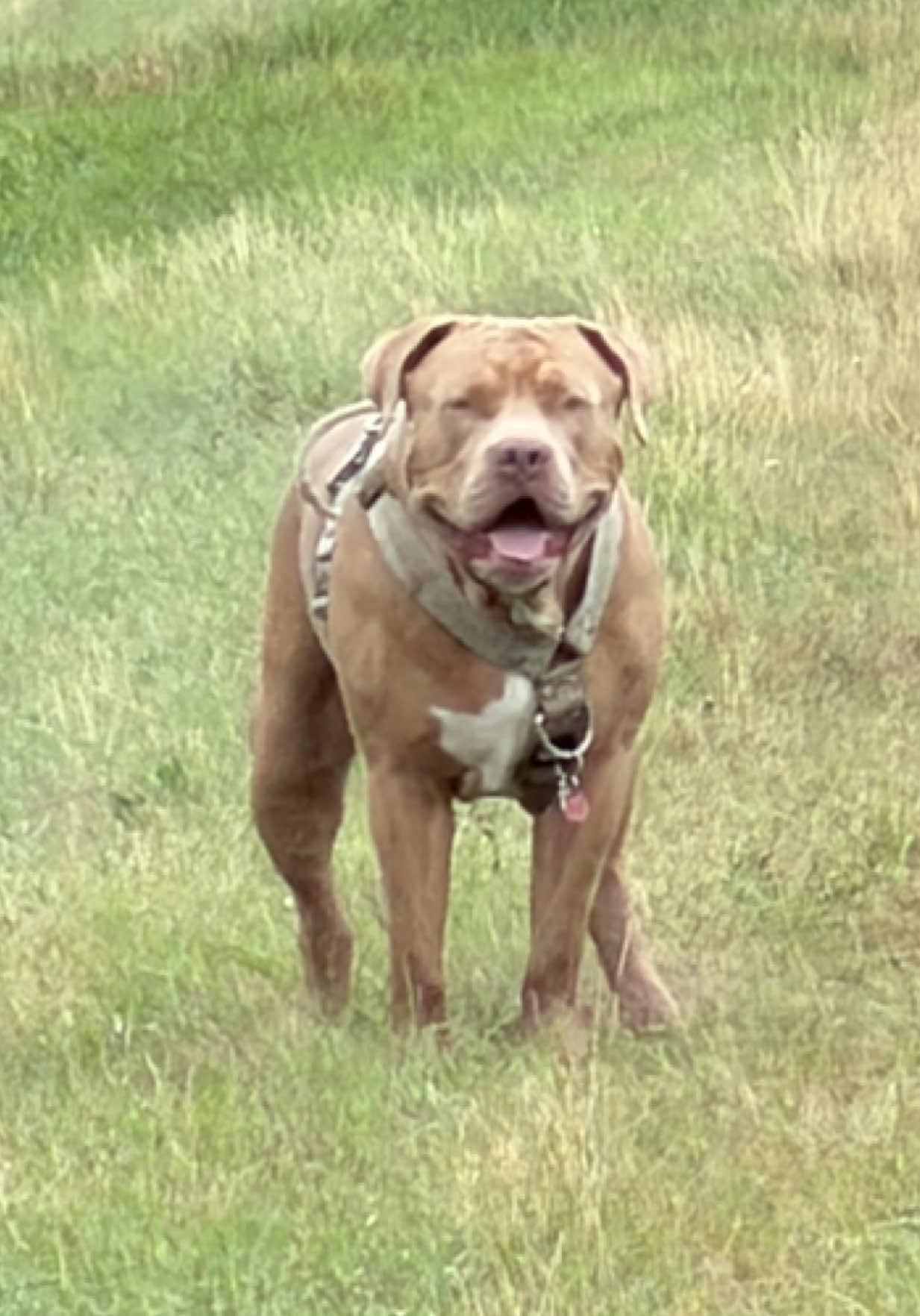 @Jessica &bull; mom of Ruffy🦴🤍
