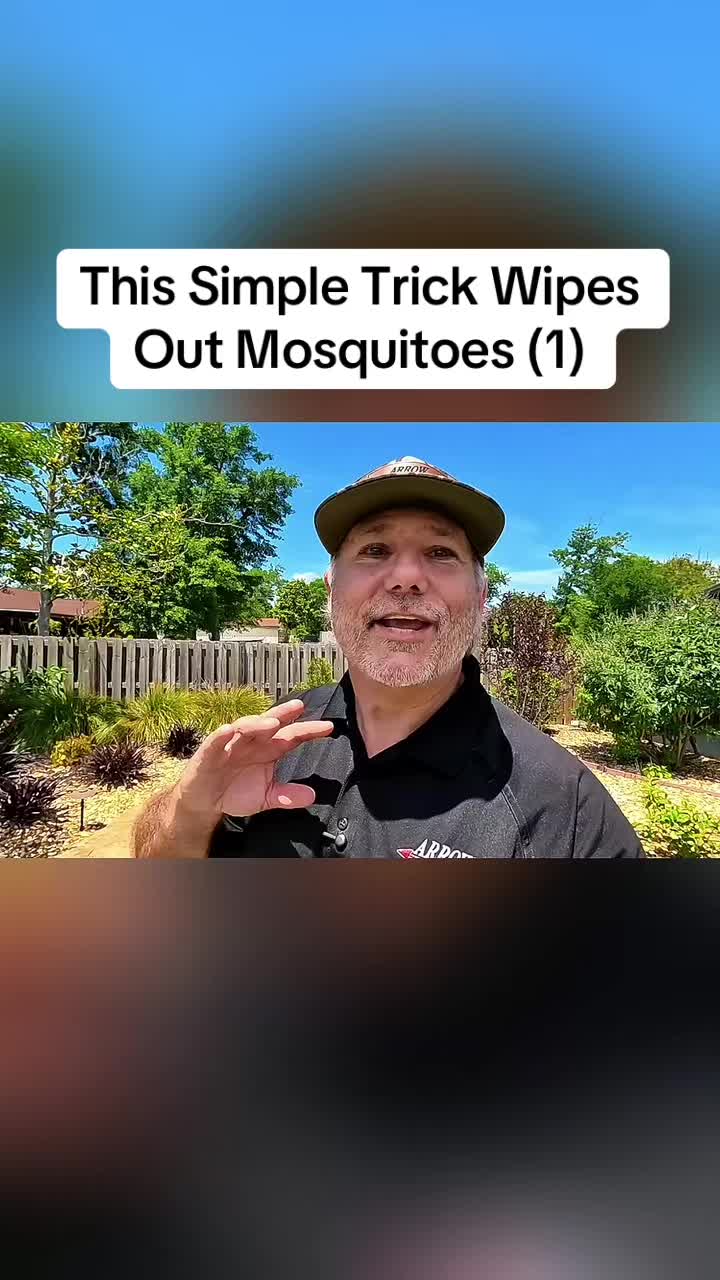 @Animals in nature
