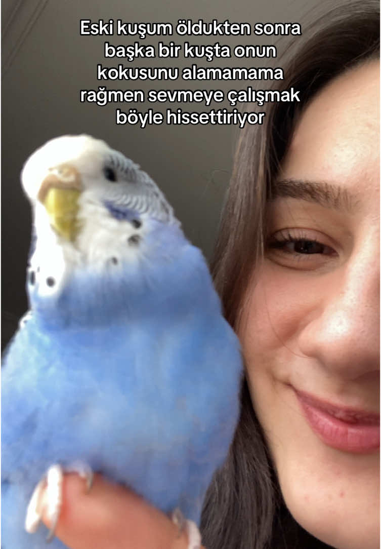 @Busem⭐️