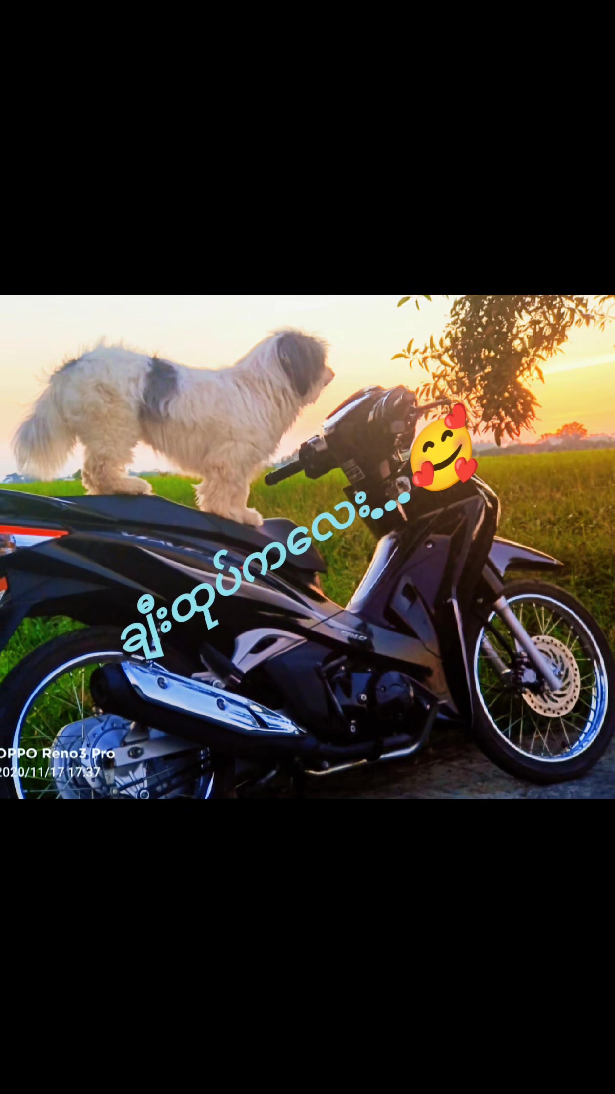 @U Lwin(''ဆန်းသစ် Mobile'')