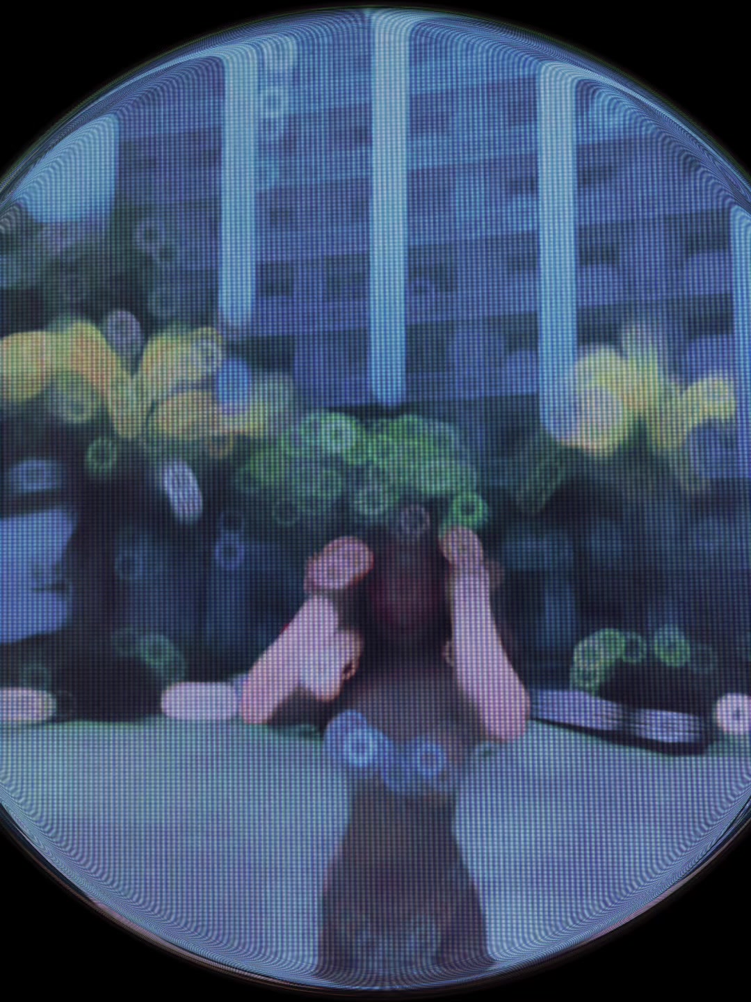 @塔玛拉 💭