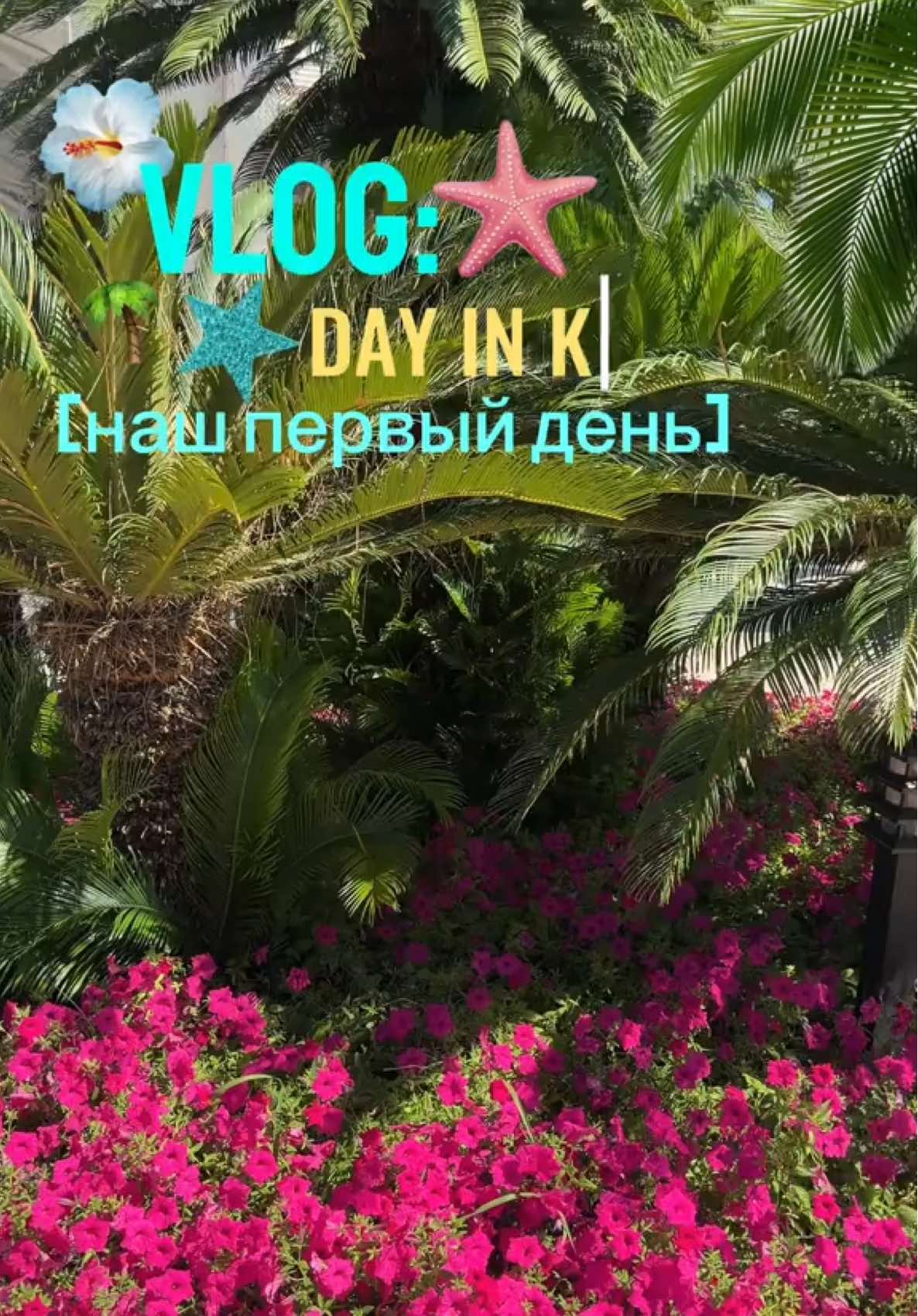@byEva🩶