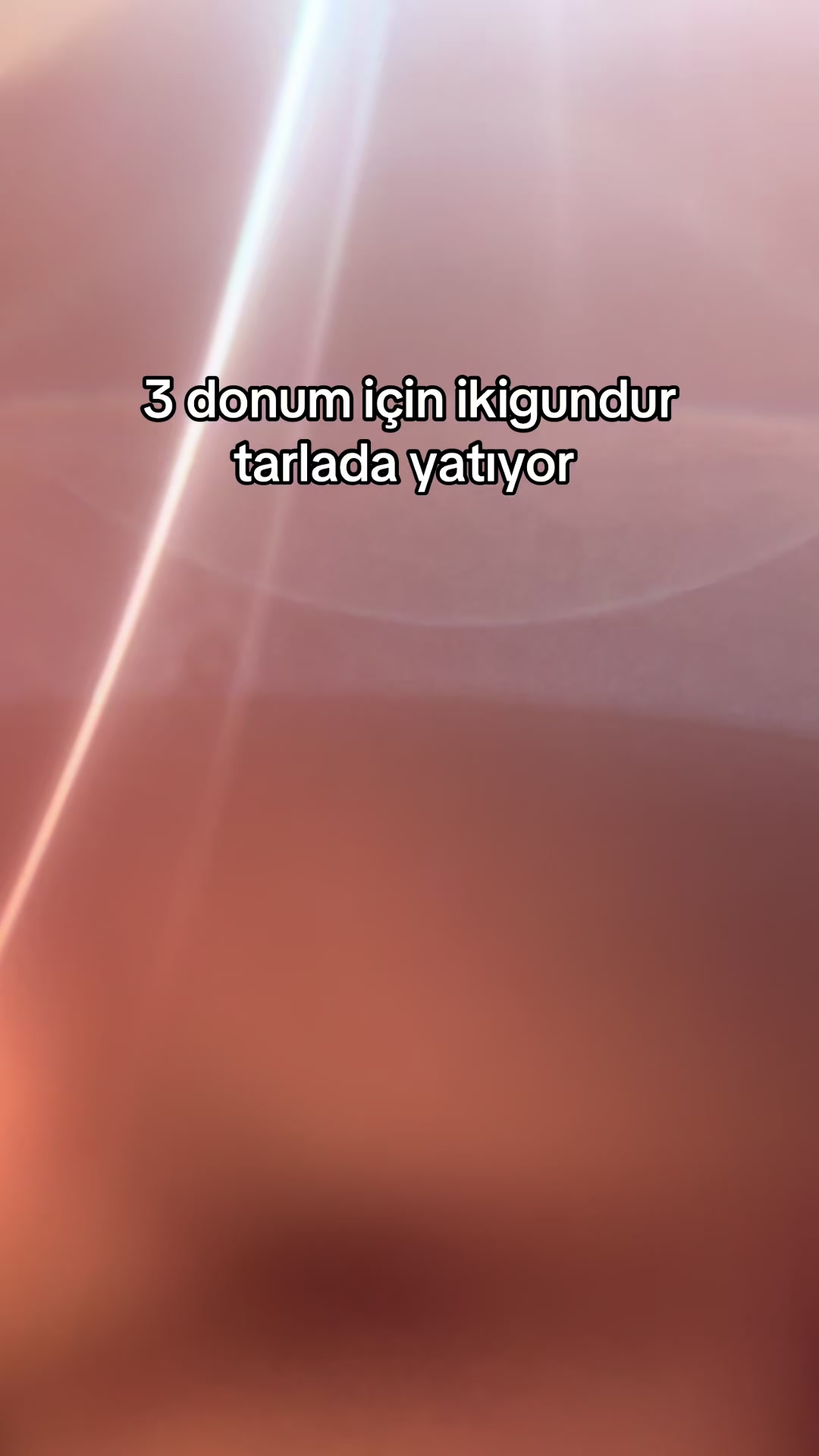 @Ş&uuml;kr&uuml; Sevindik