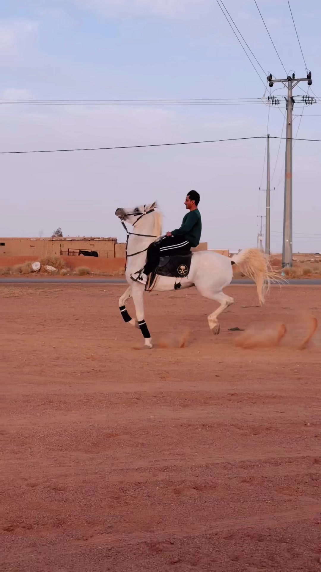@عامر الشمري🐎