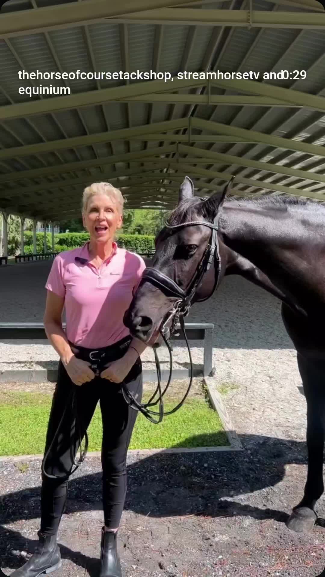 @streamhorse