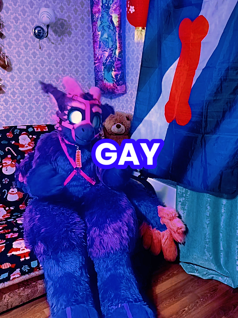 @🍇💠«𝓥𝓪𝓲𝓵 »💠🍇
