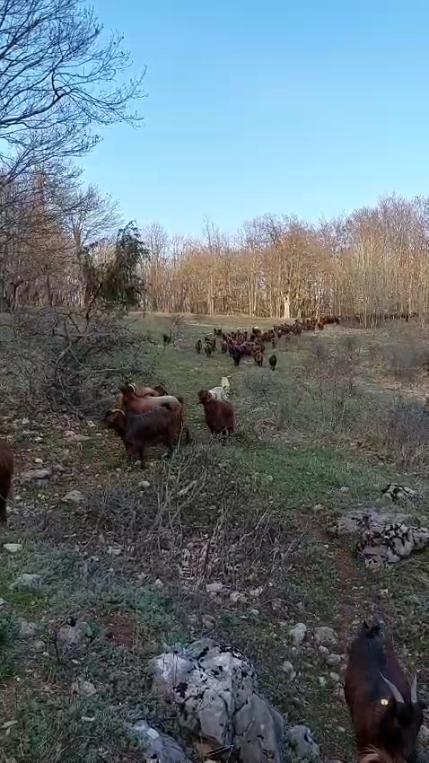 @Ferma dhive xhebexhia 🐐