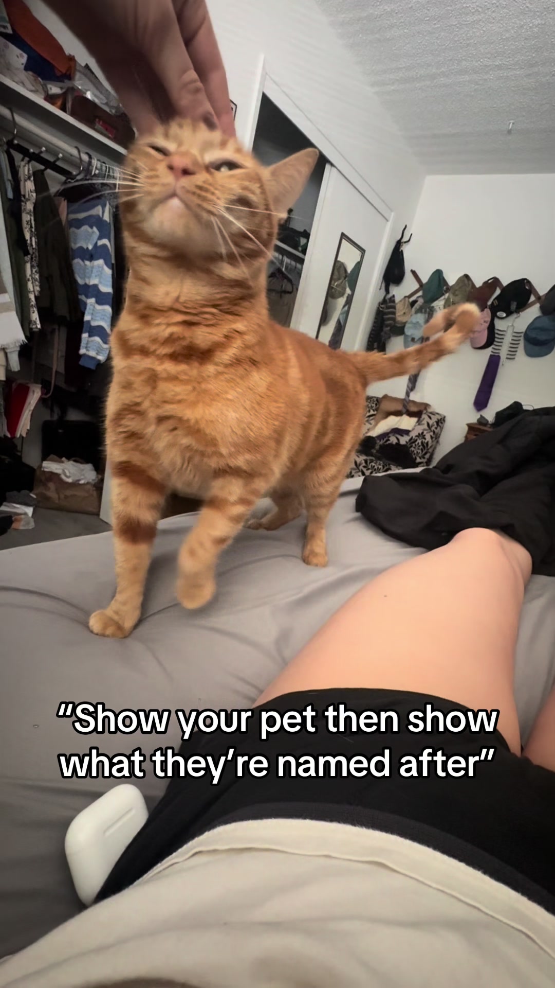 @ʎǝɔɐʇS
