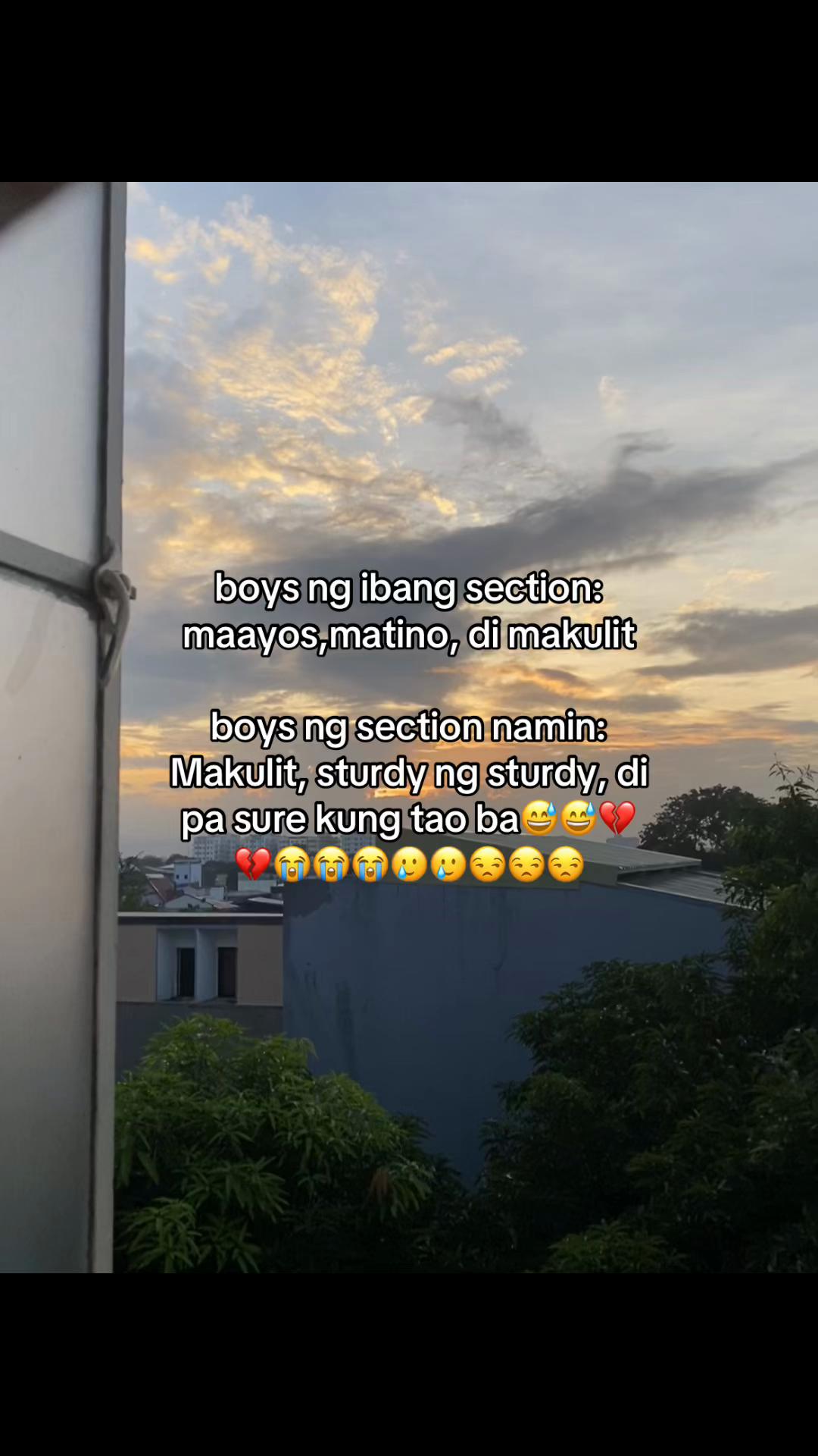 @‧₊ ᵎᵎ V-PALAWAN⋅ ˚ ⭑