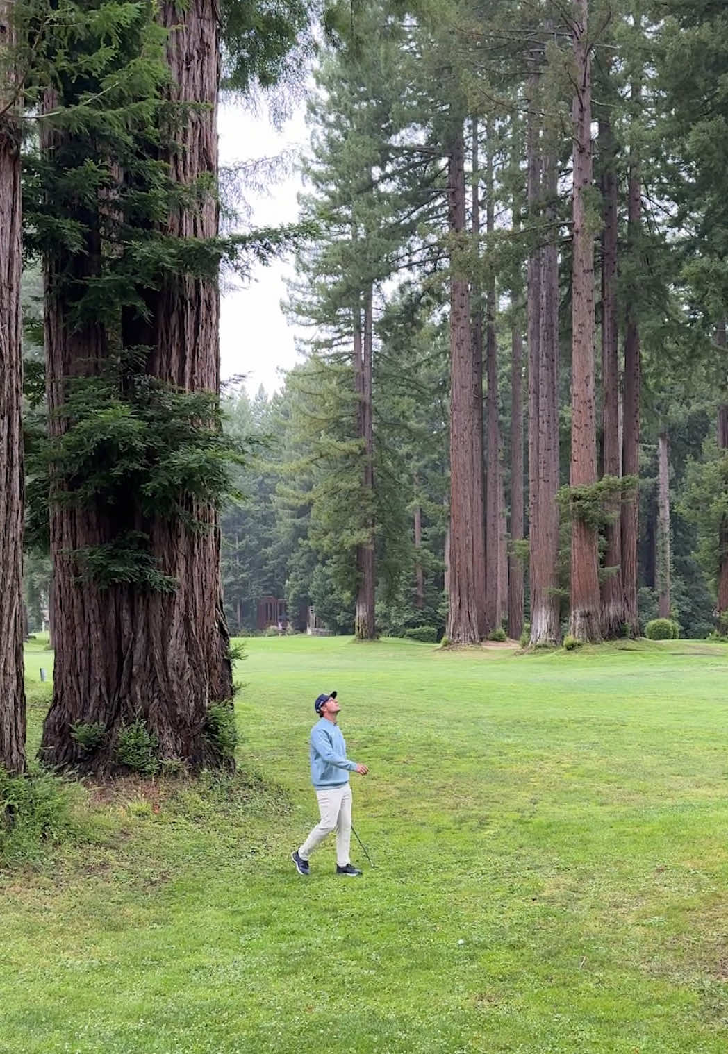 @Bryson DeChambeau