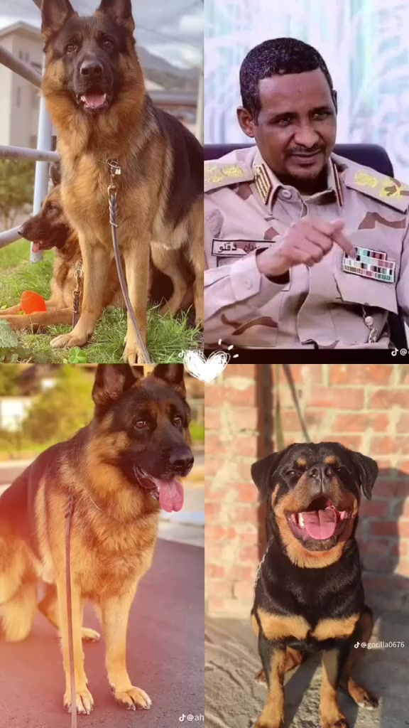 @عبدالله جنا🦁