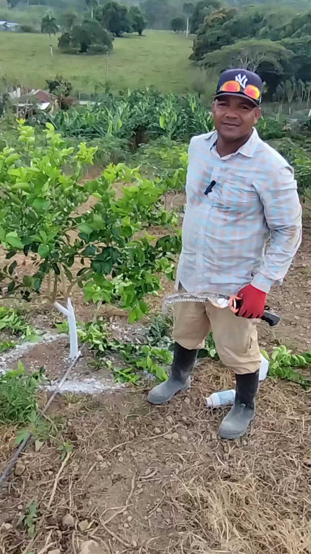 @C&iacute;tricos Ramirez 🍋