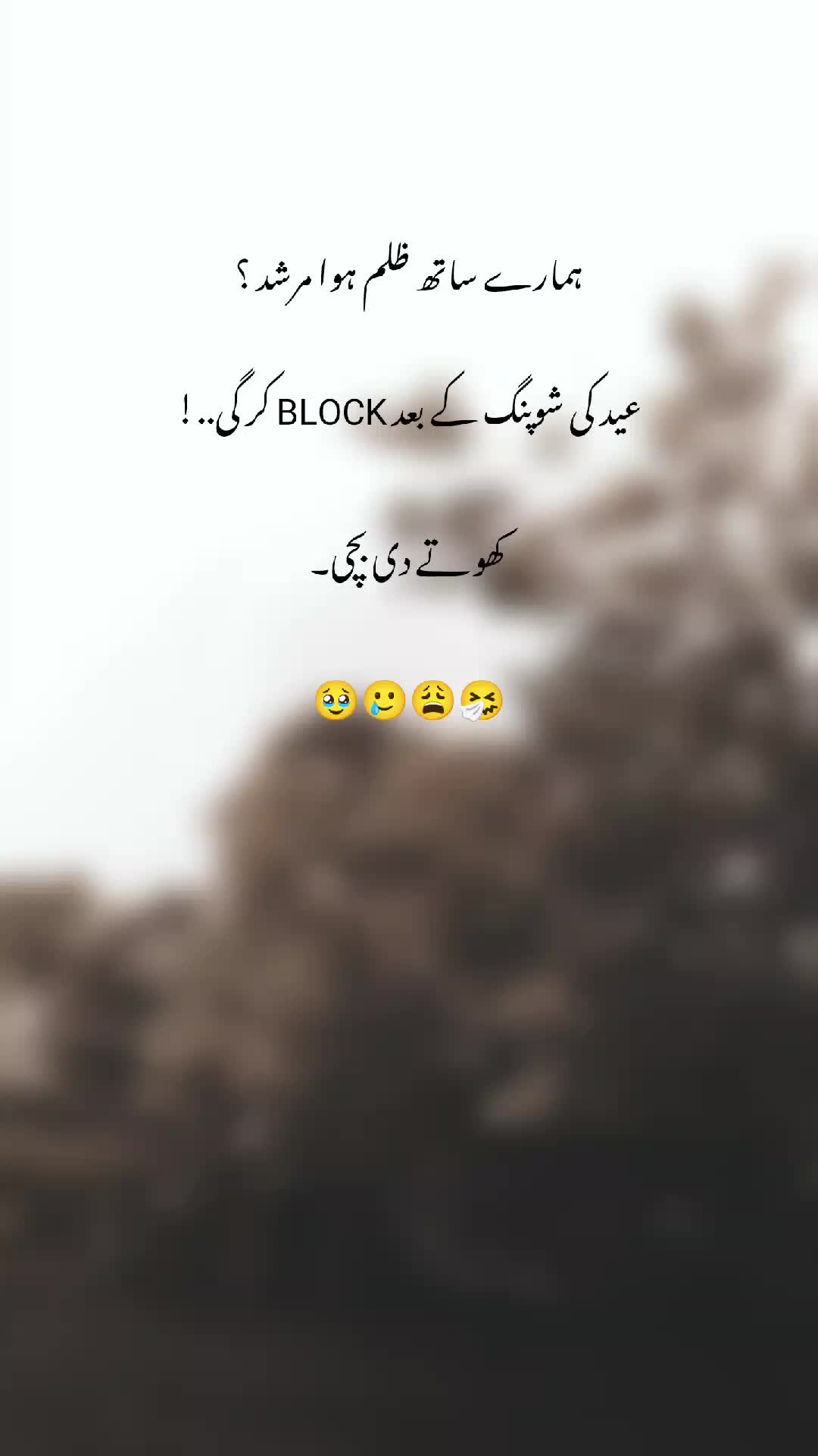 @𝙈𝘼𝙉𝙐