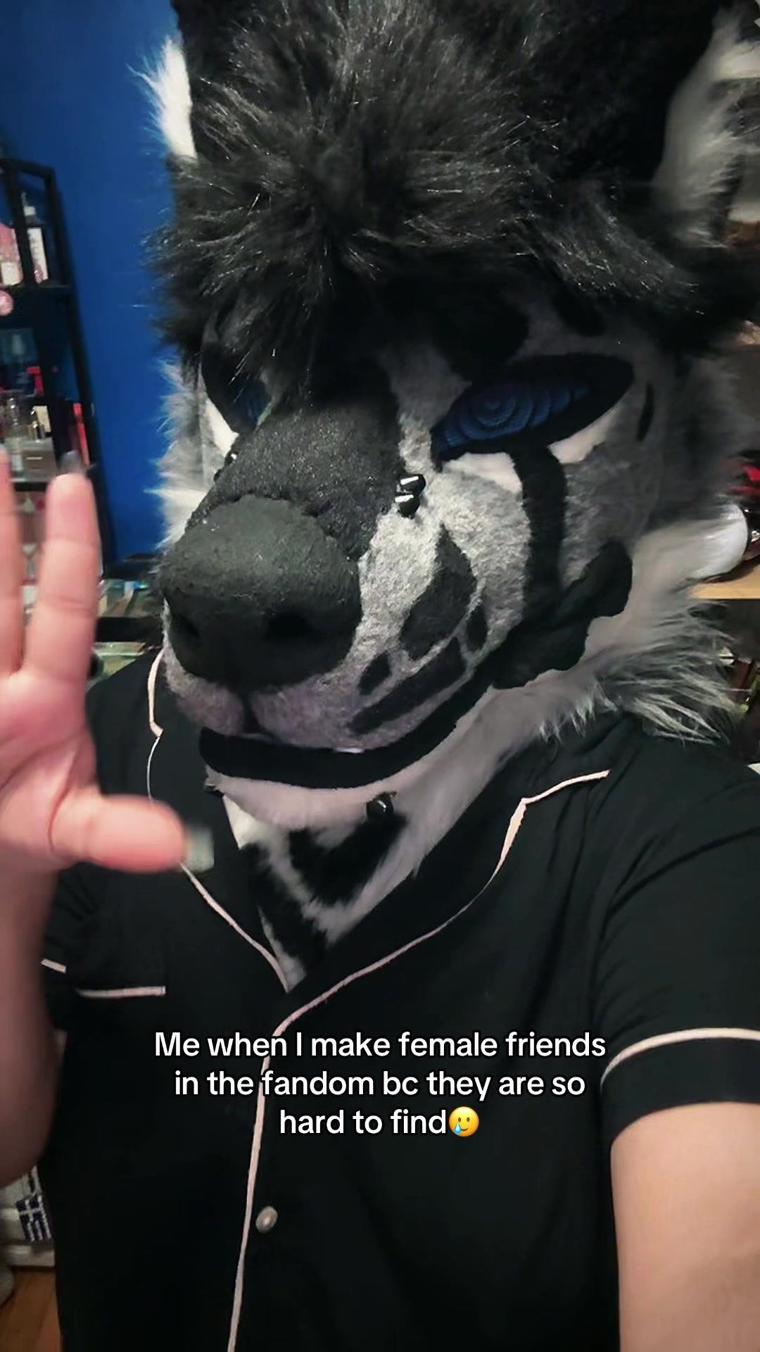 @sonar_hyena_shark