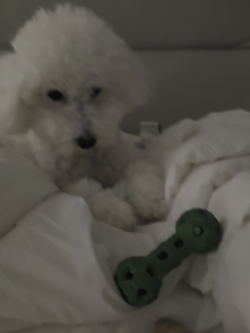 @코우