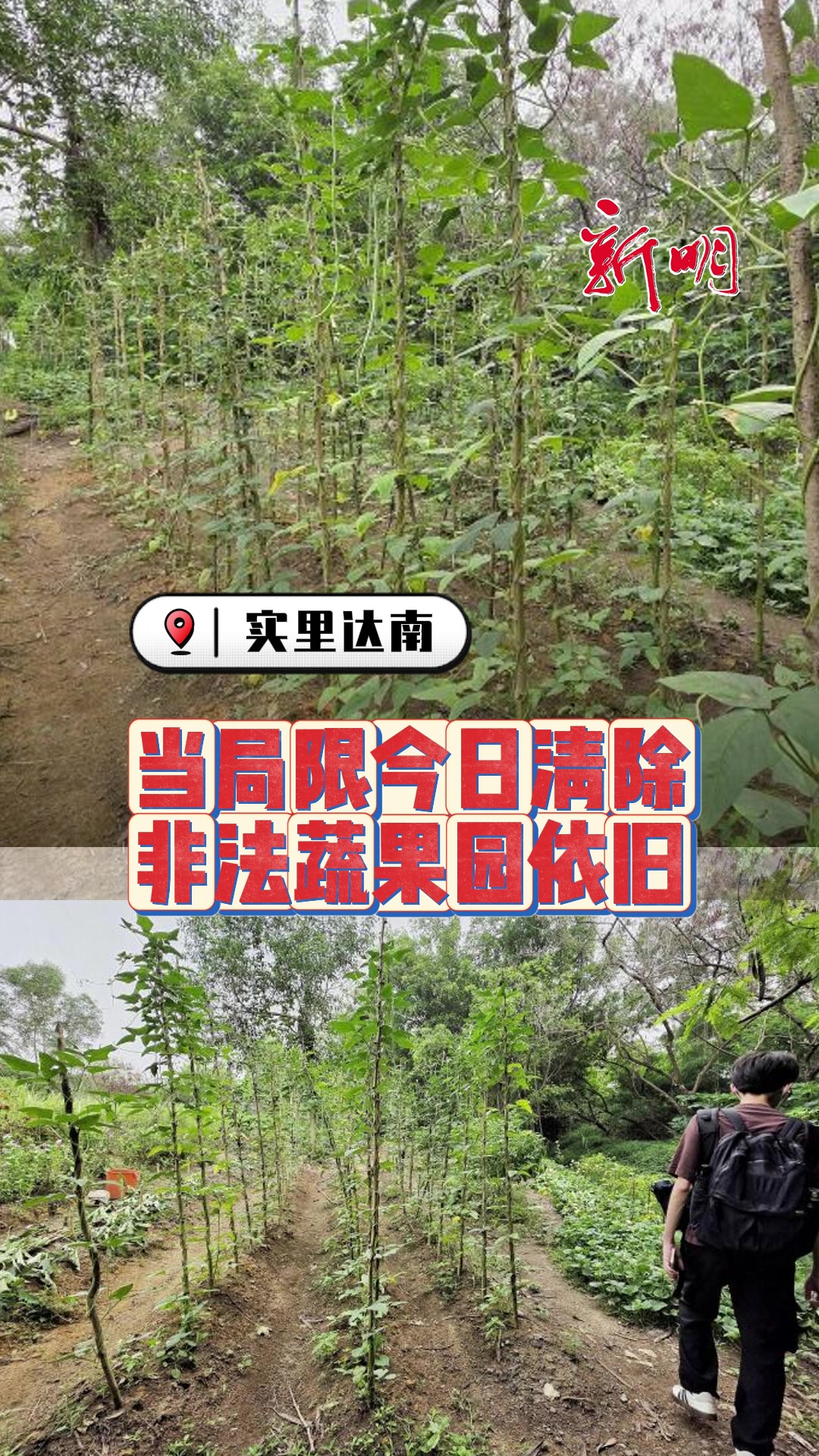 @新明日报