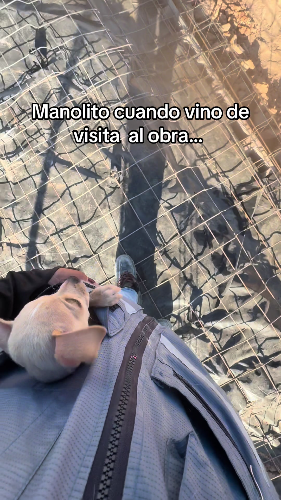 @Alejandra E. Quiroz