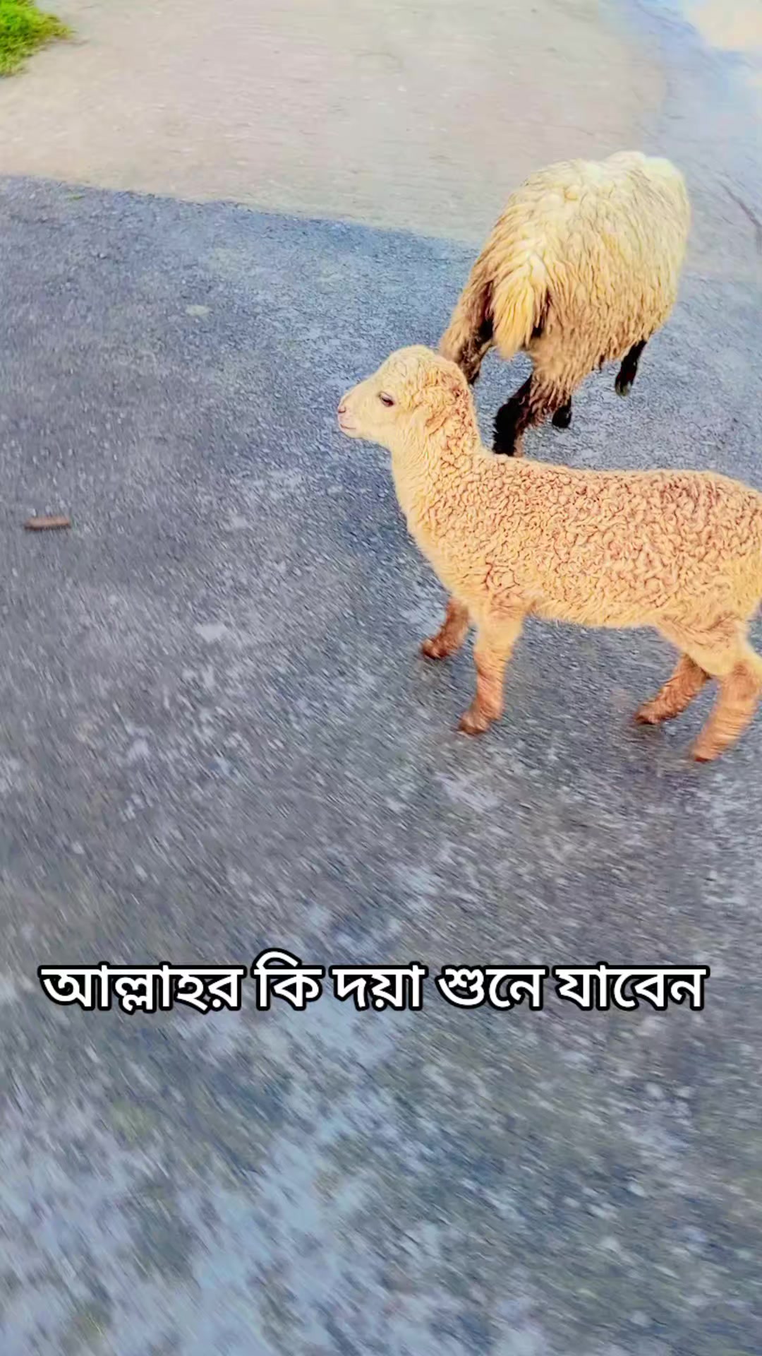 @🥀❤️IMRAN KHAN❤️🌹🥀🐝