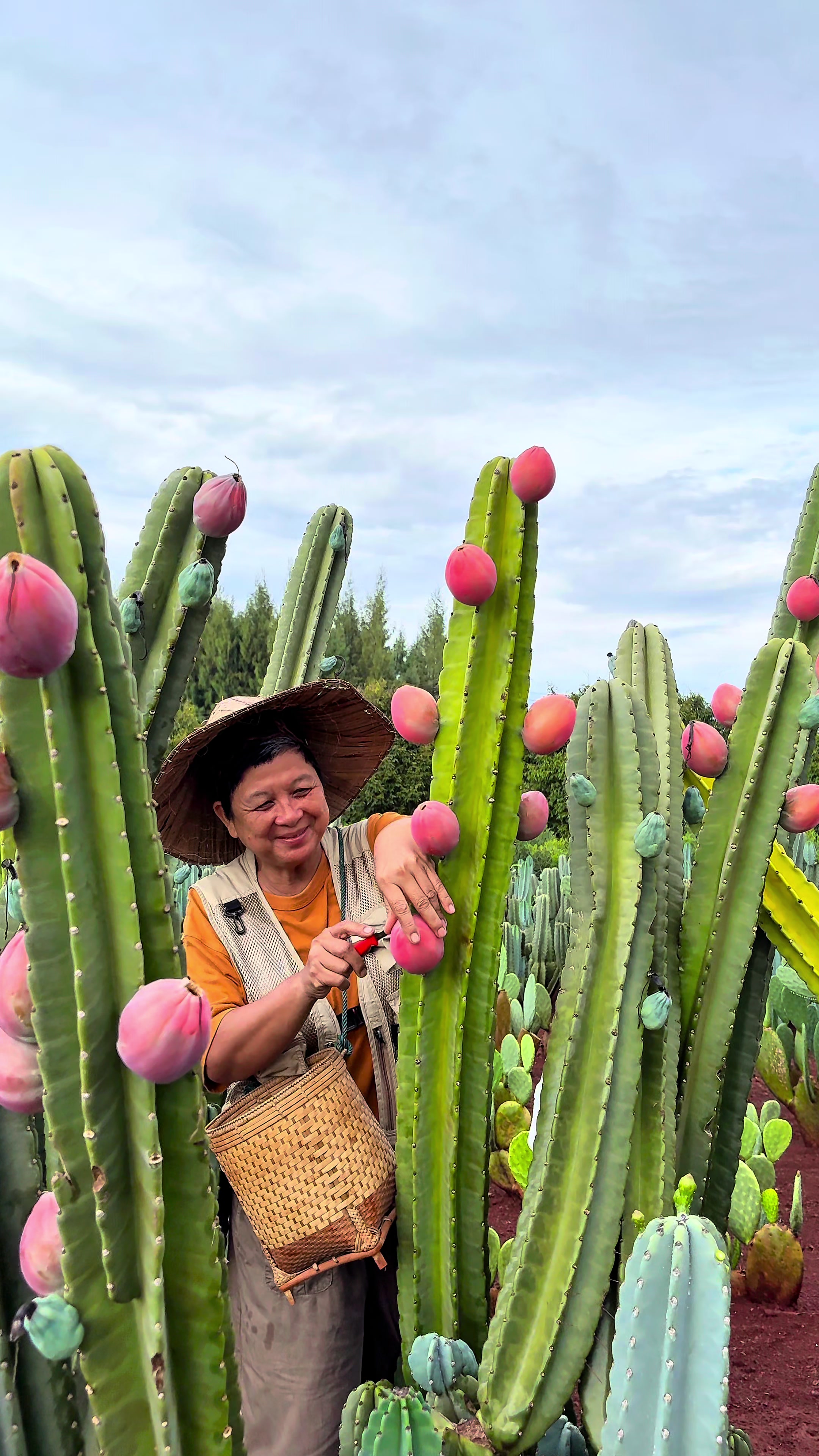 @ไร่วันยังขำ Oneyoungkham farm