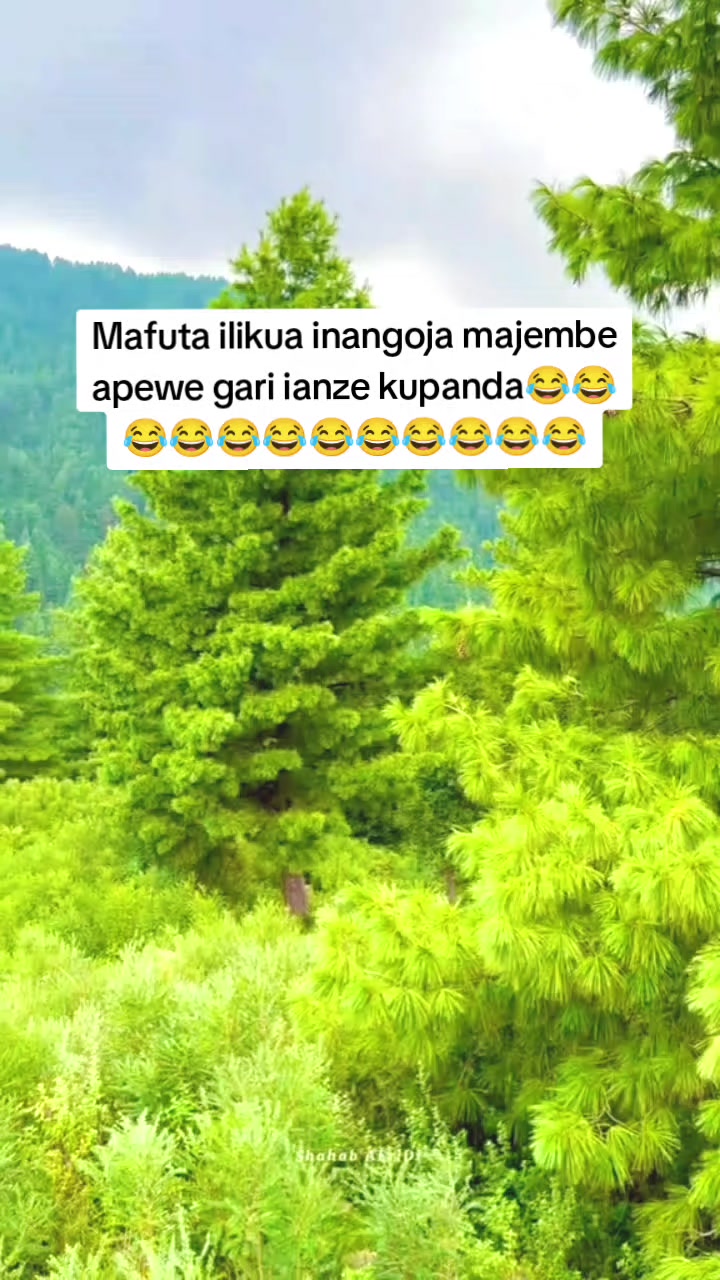 @JAKABABA🌴