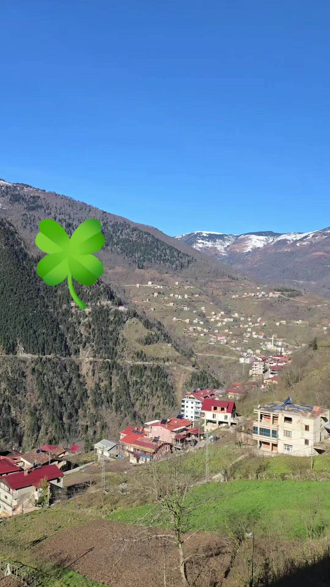 @Asiye Boz