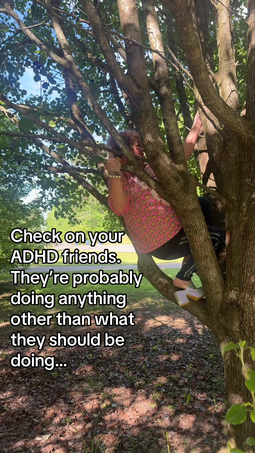 @Red Squirrel