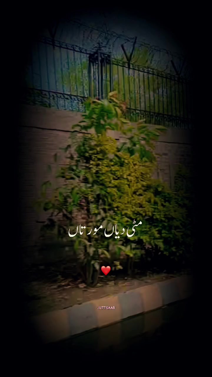 @✍️🥀رانی _G 💔