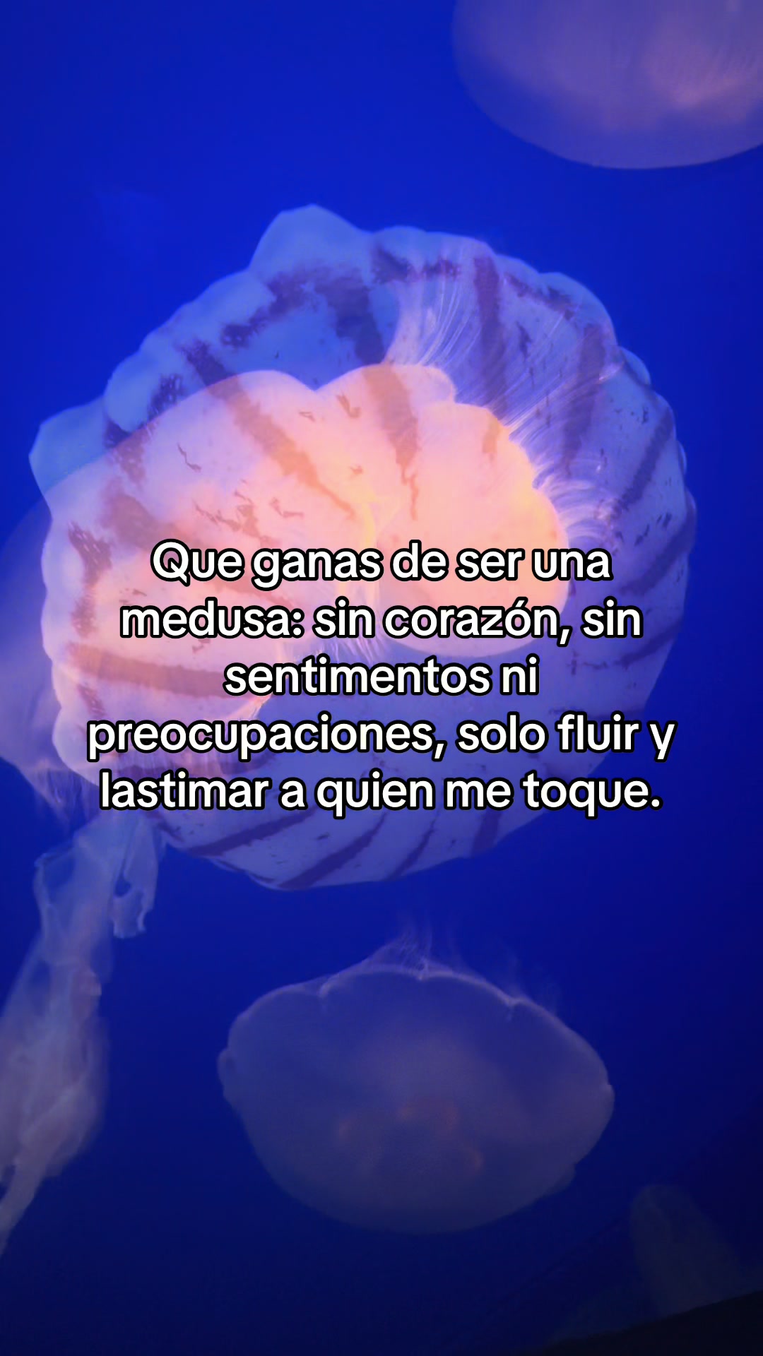 @Emily💙✨