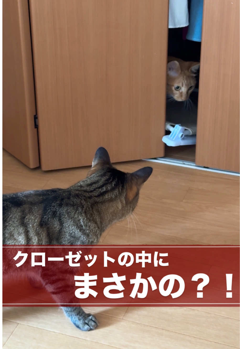@さっことおちょ