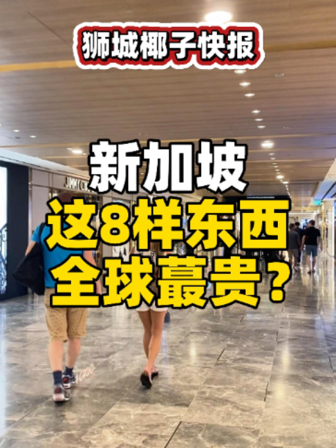 @新加坡狮城椰子