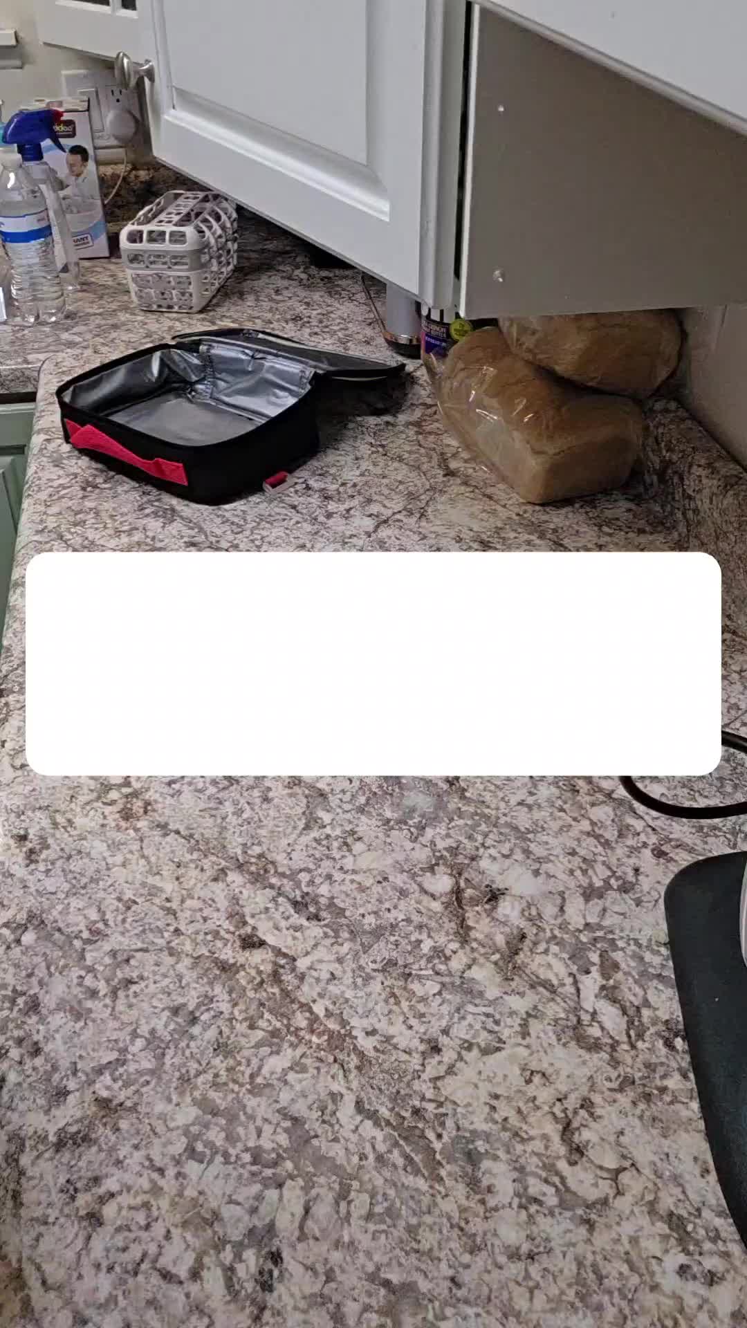 @That_Lazy_Mom_T