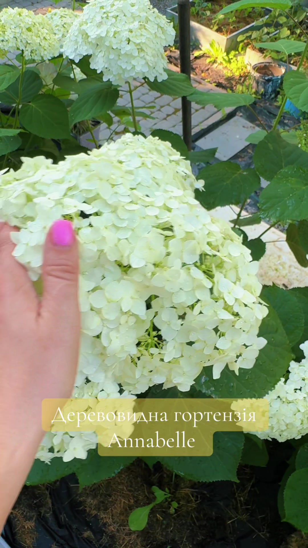 @🍒 Тут смачно 🍒