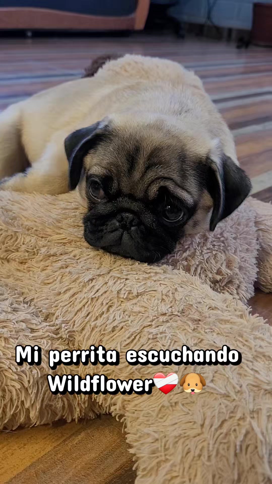 @melizabeth
