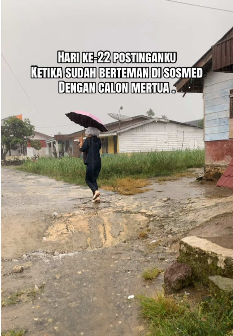 @Selenagepeng