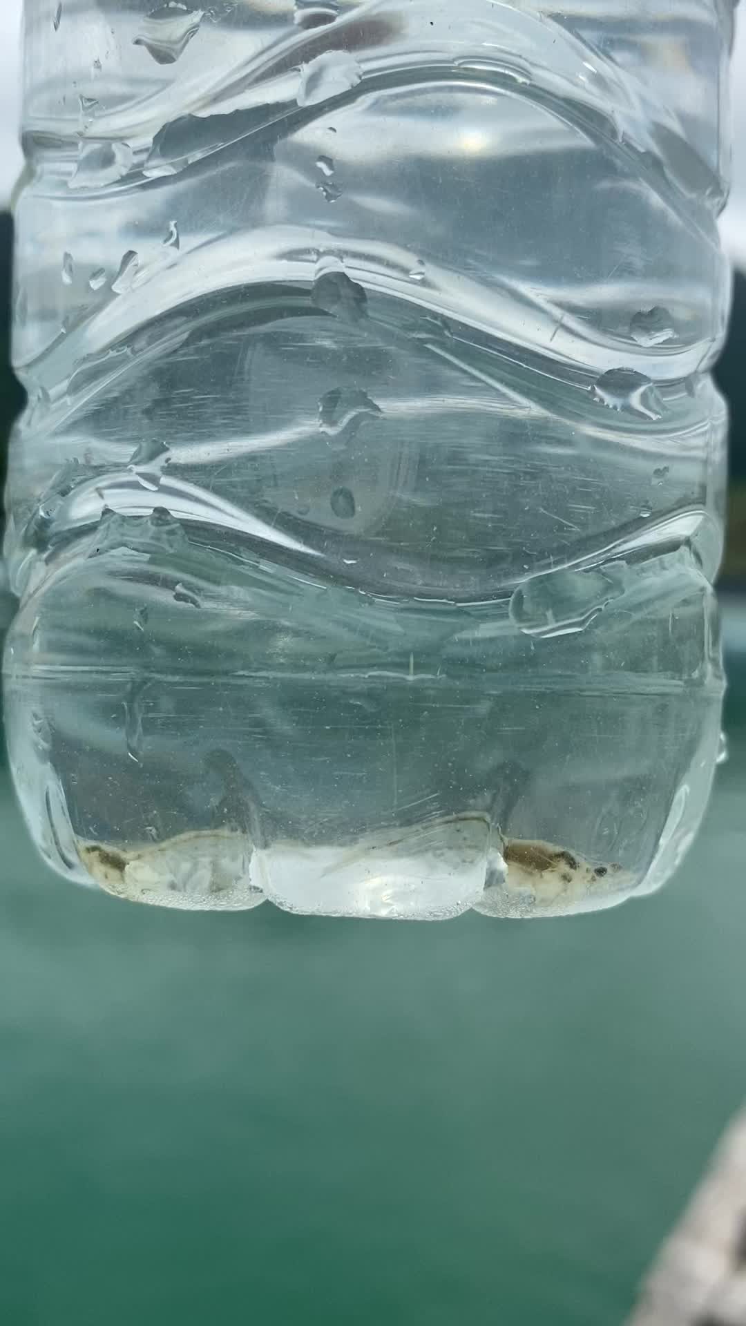 @Oungkana Jittree