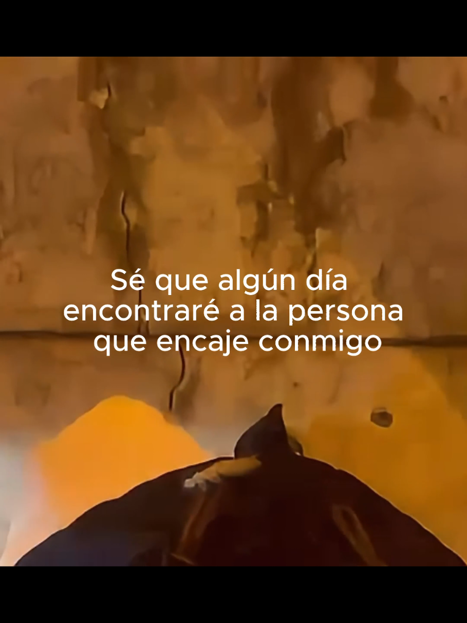 @Tamauta