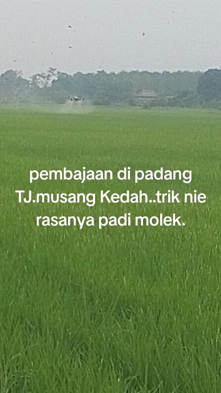 @Wan nasruy