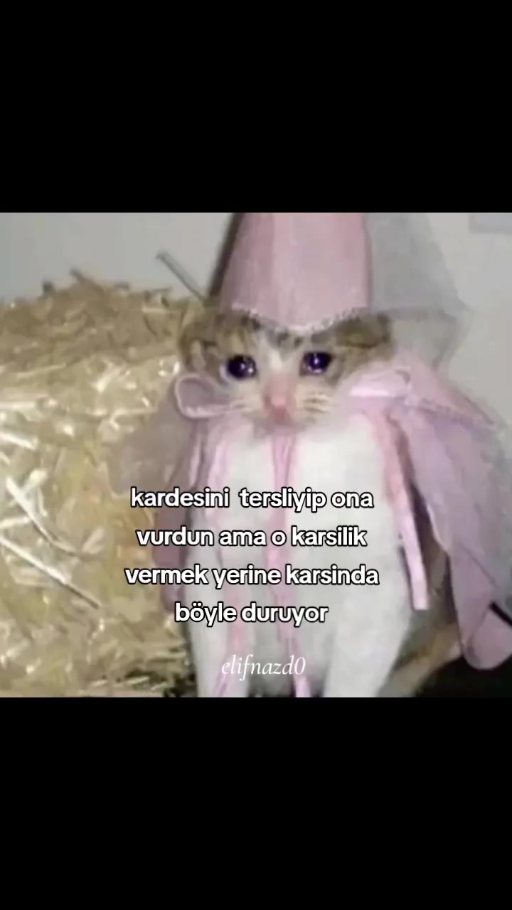 @𝕯𝖎𝖆𝖓𝖆