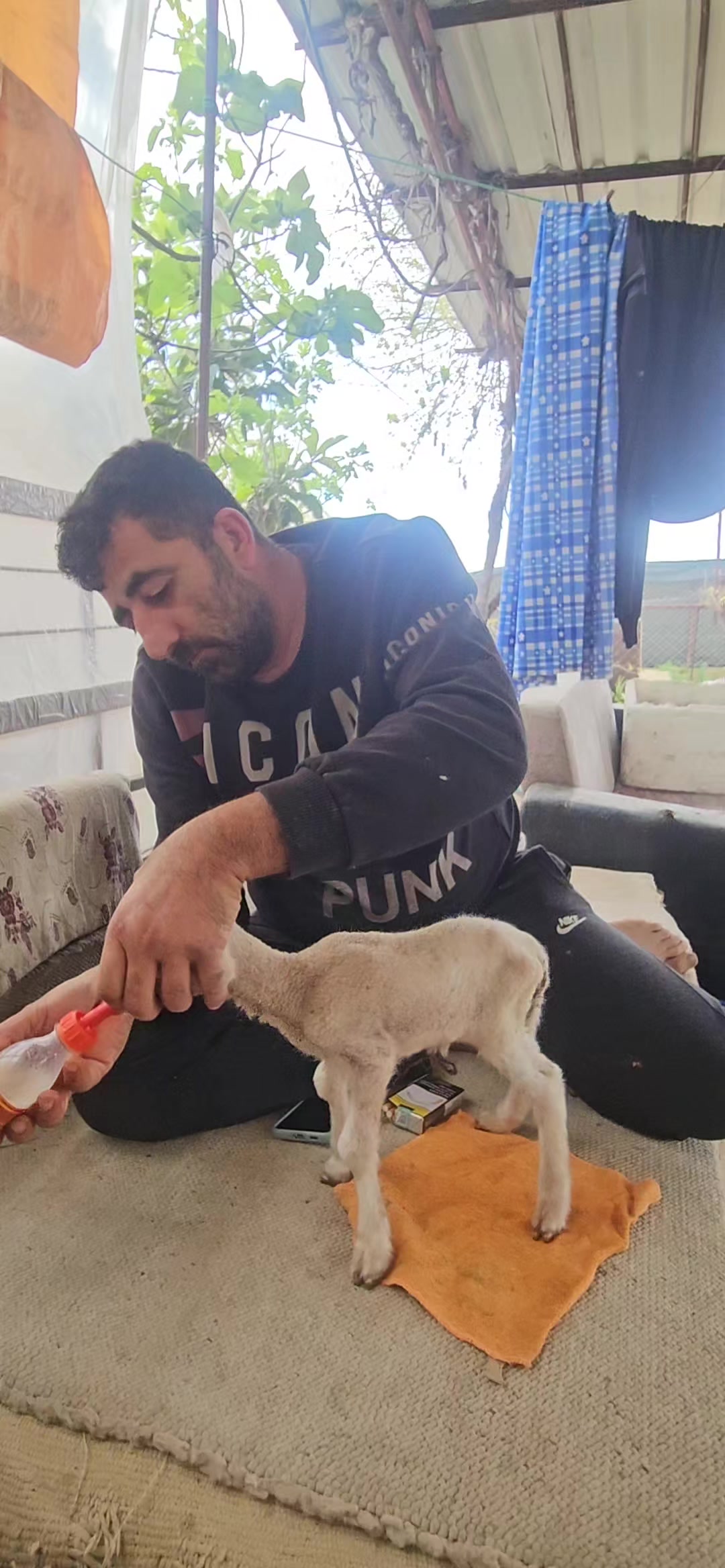@Musa pehlivan