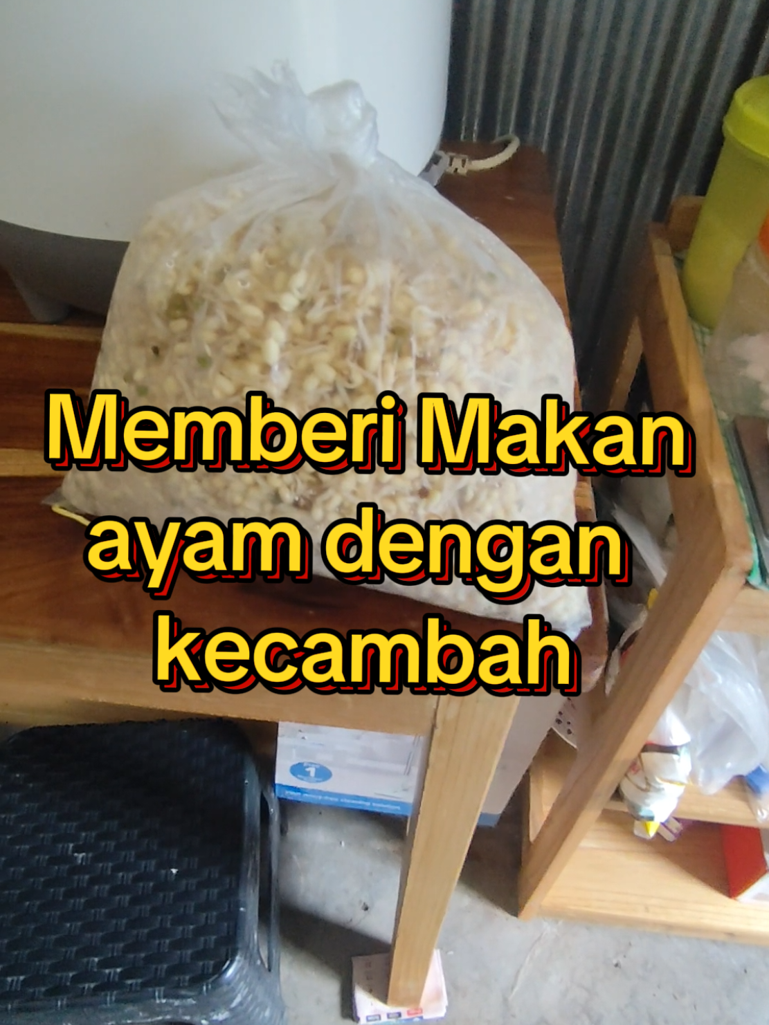 @Prasetya