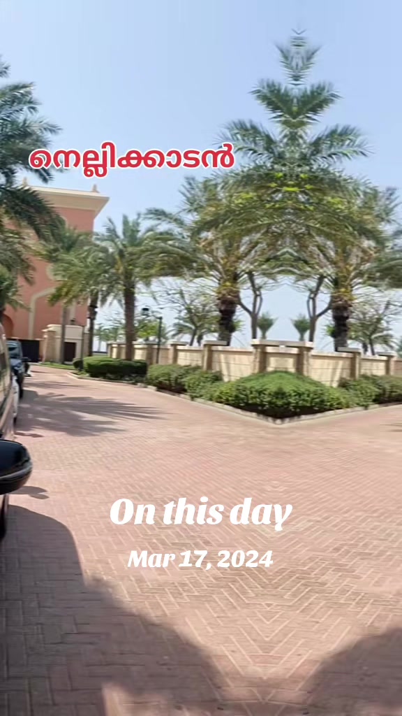 @NELLIKKADAN