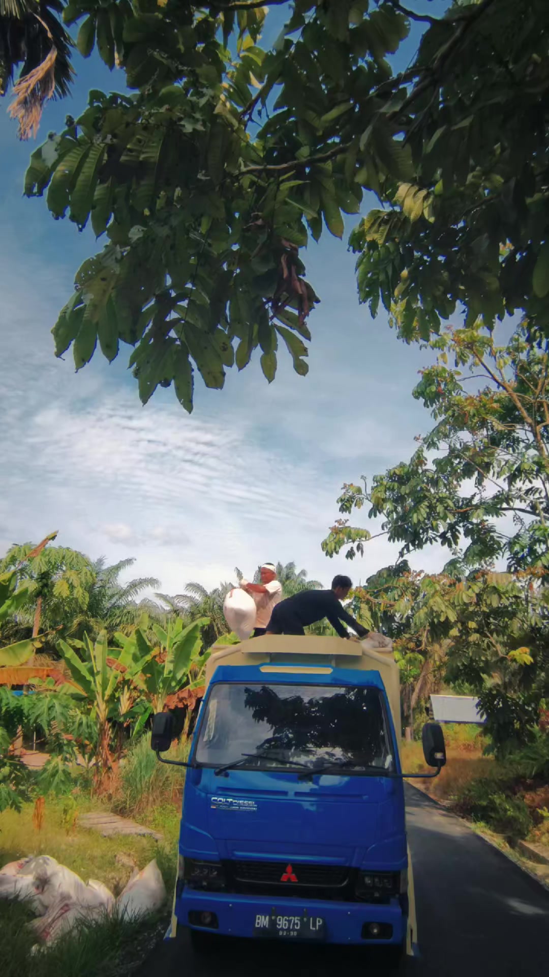 @CANTERsetugel