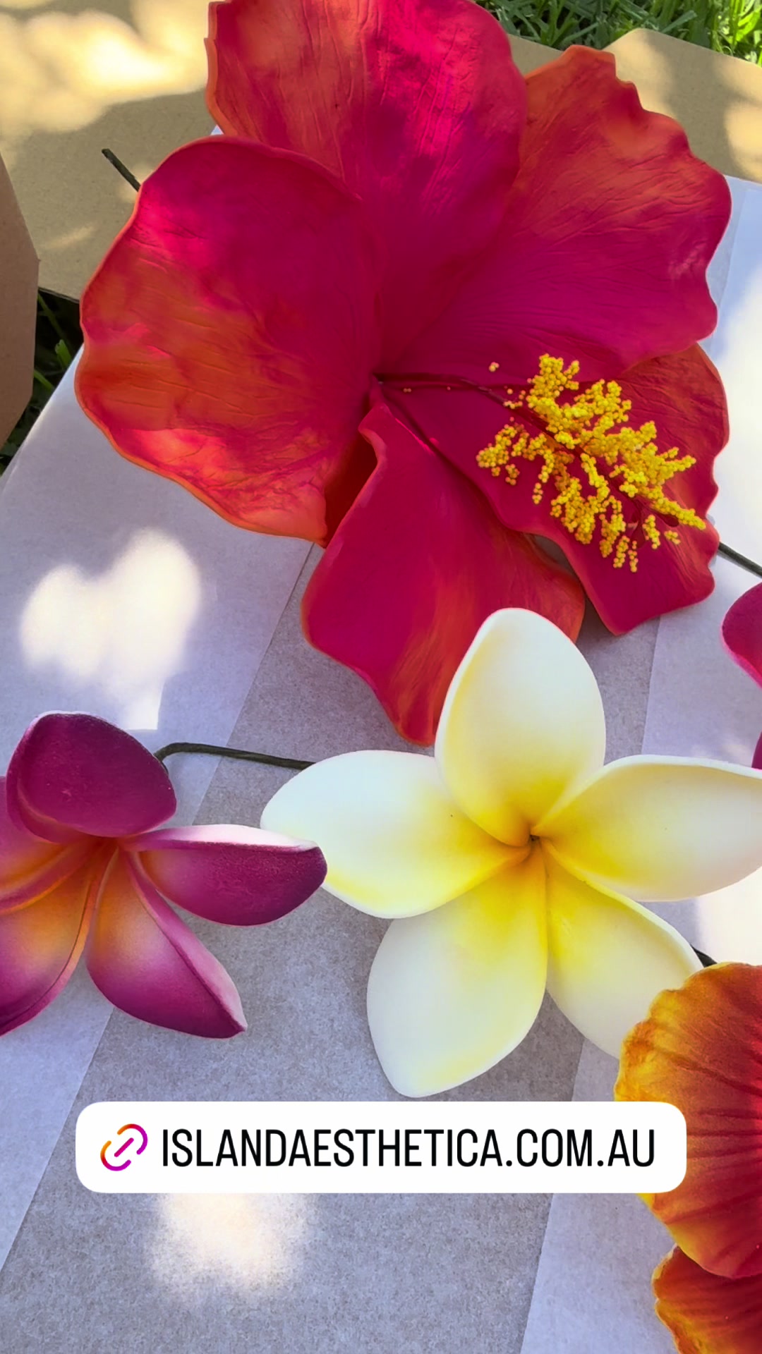 @Island Aesthetica 🌺 Pasifika
