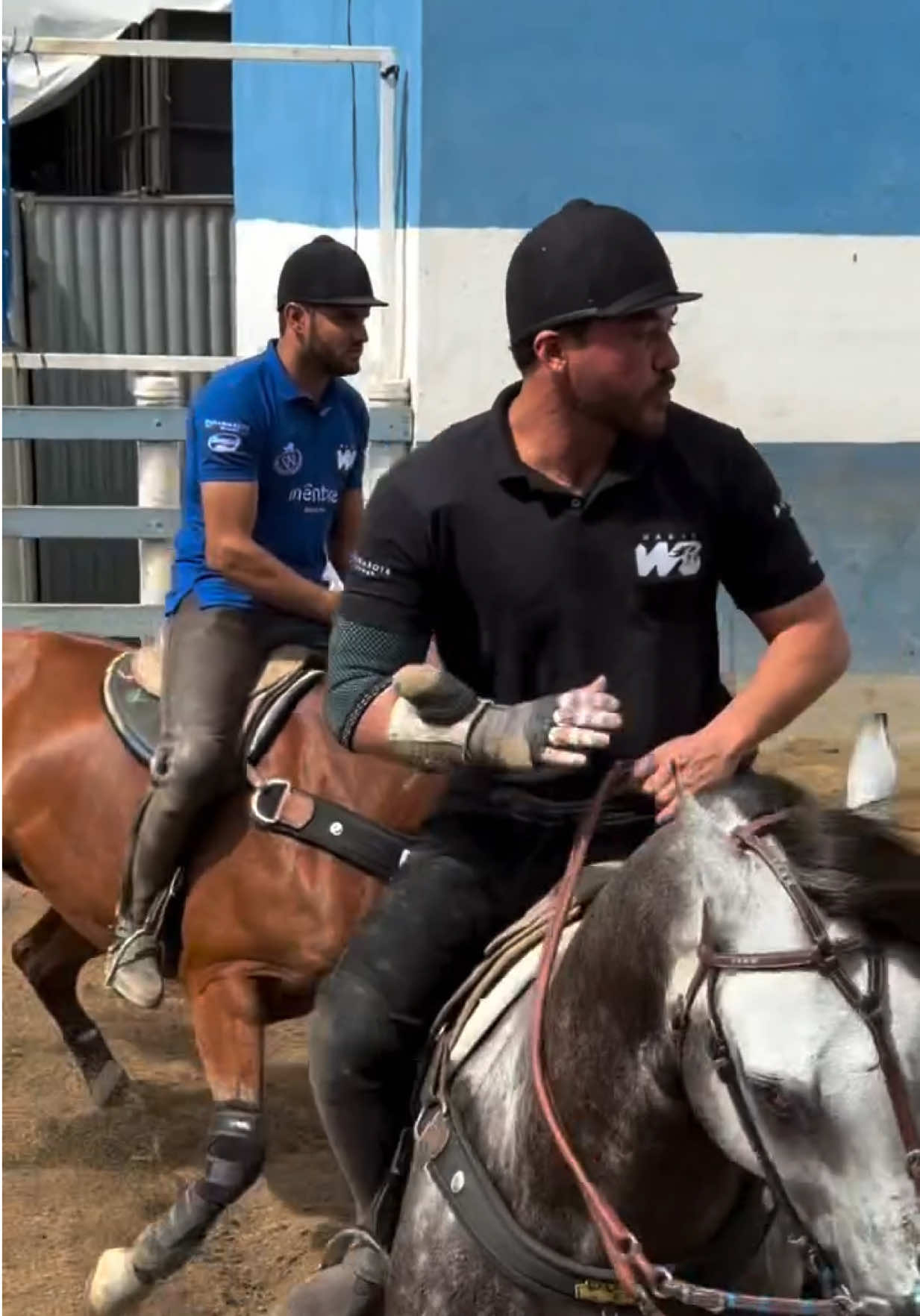 @Wesley Safadão