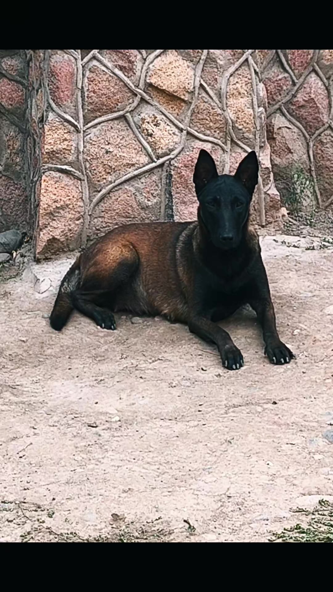 @𝐄𝐋𝐋𝐓𝐎