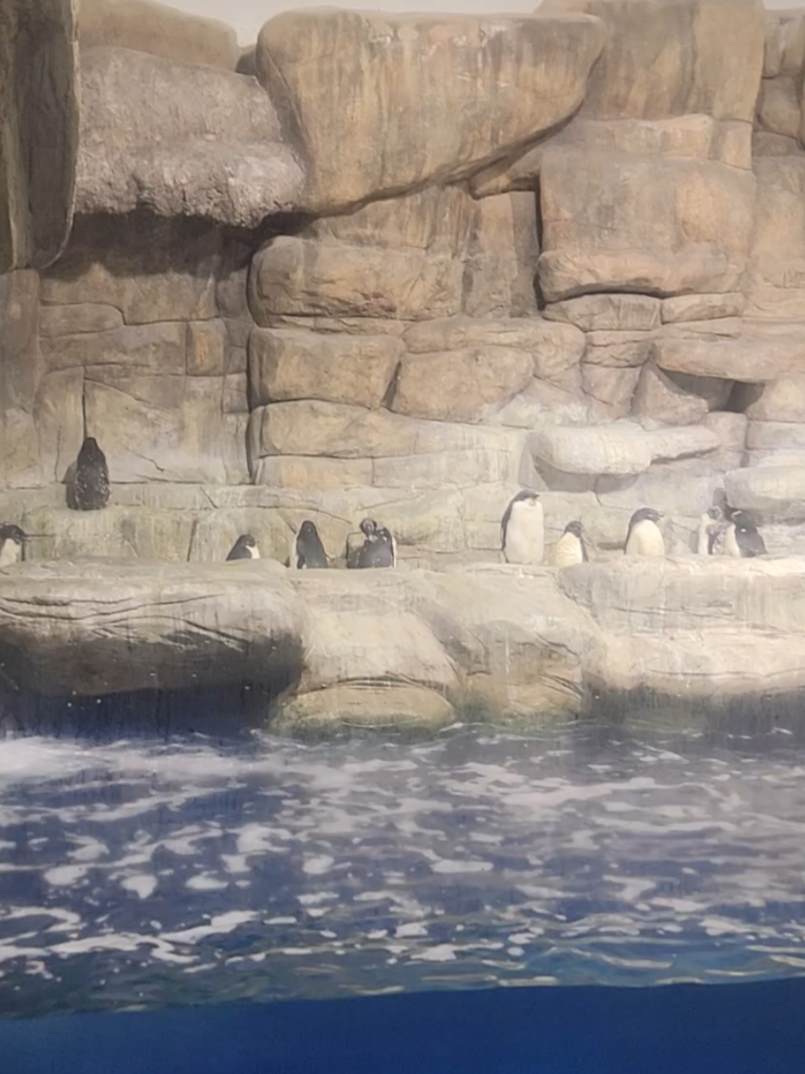 @Israel 🐉