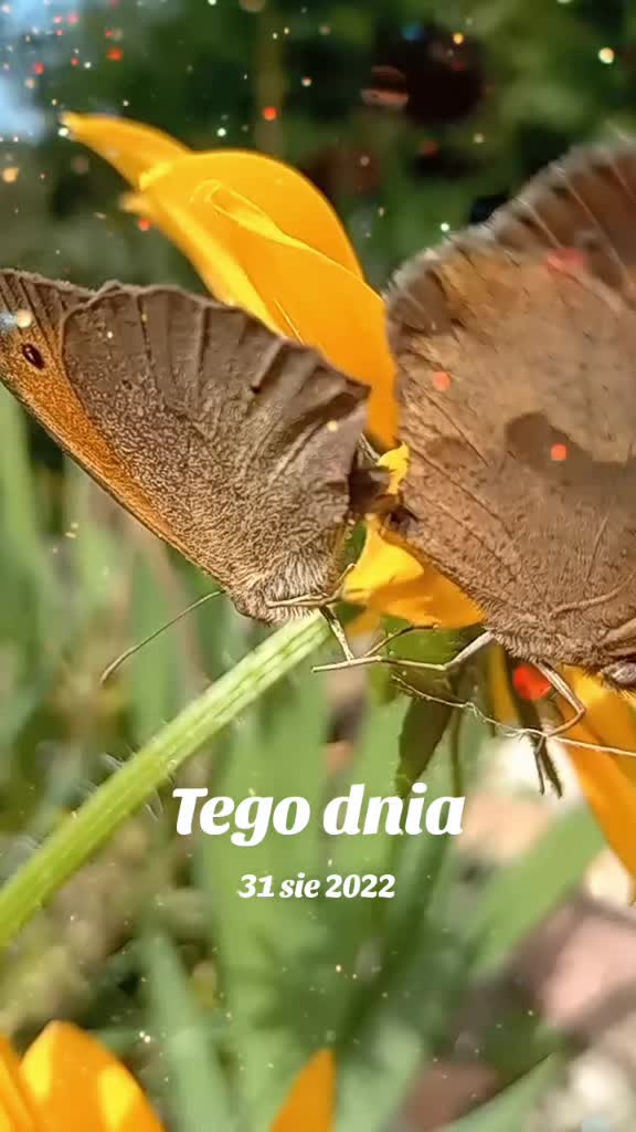 @MaGdaC