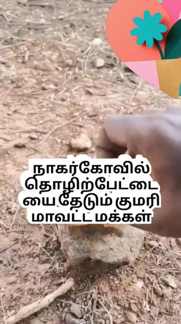 @mani