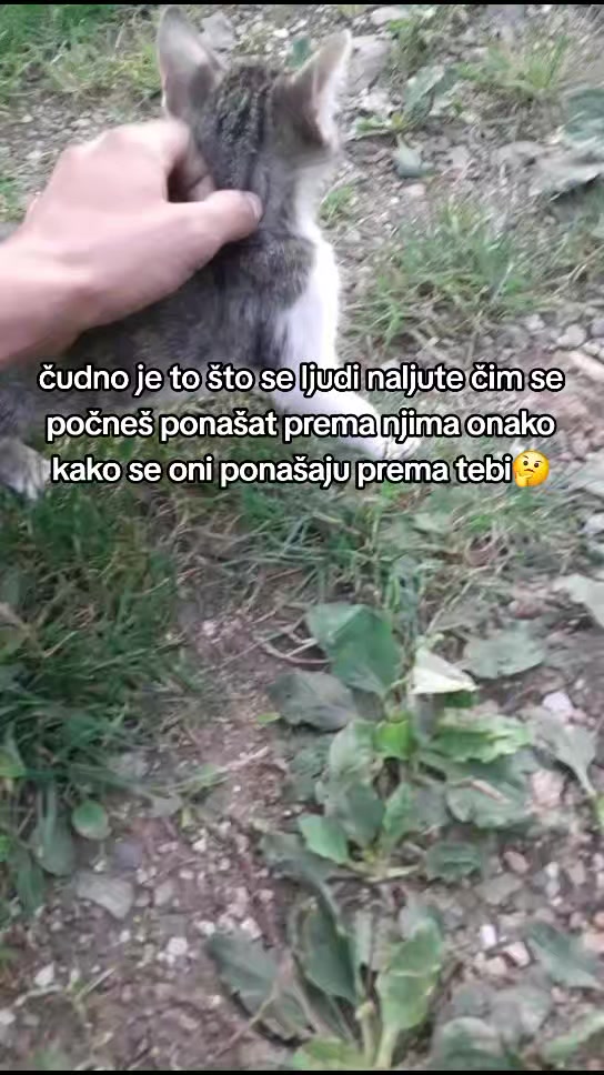 @Leo_M57